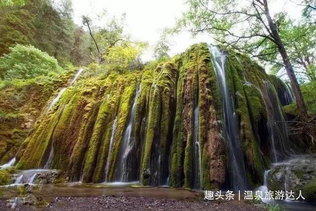 探索抖音极速版历史下载,解决你的疑问